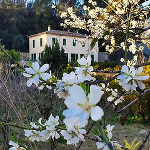  Landhaus Sa Maniga